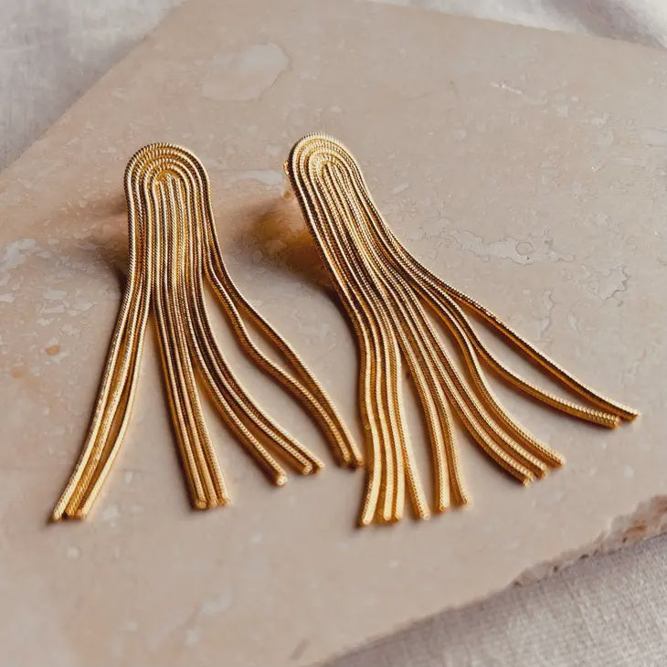 LN Earrings tassel