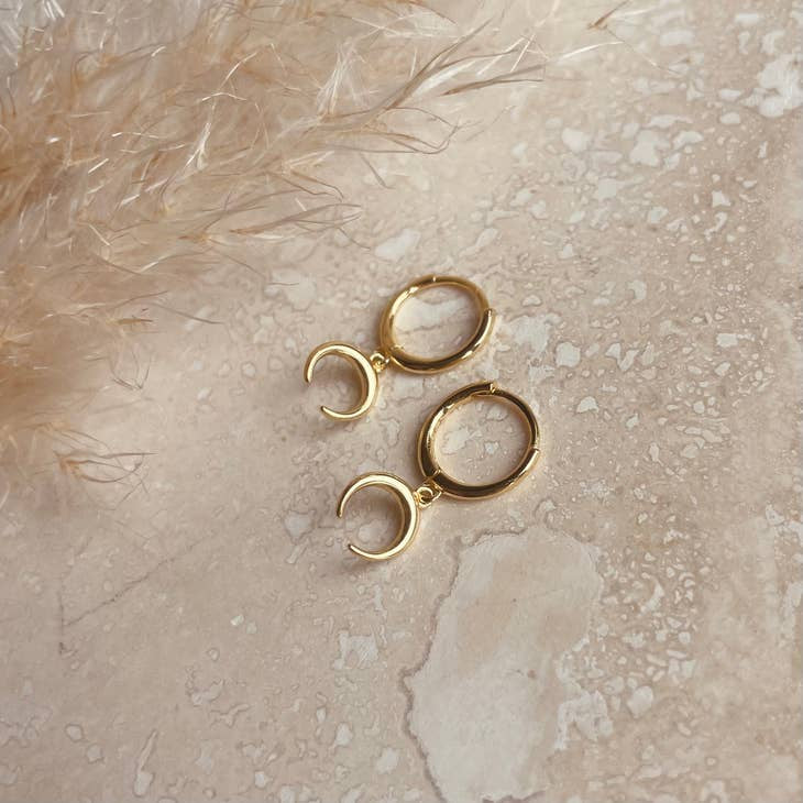 LN Earrings crescent hoop