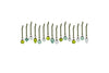 NK Bauble Adisa assorted