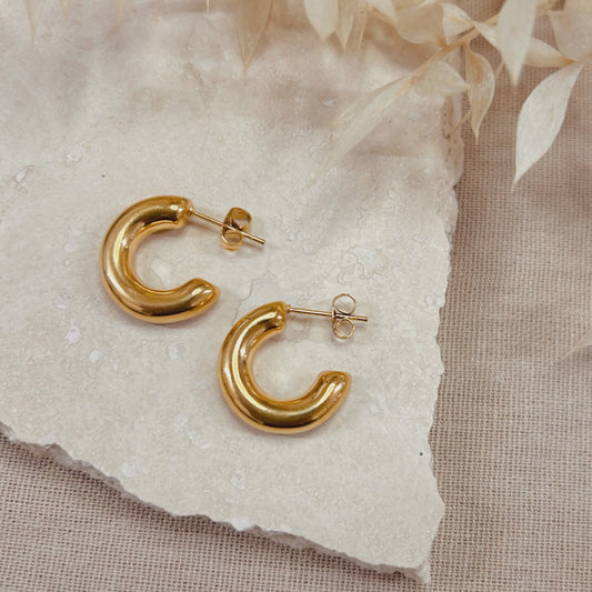 LN Earring Chubby Hoops small