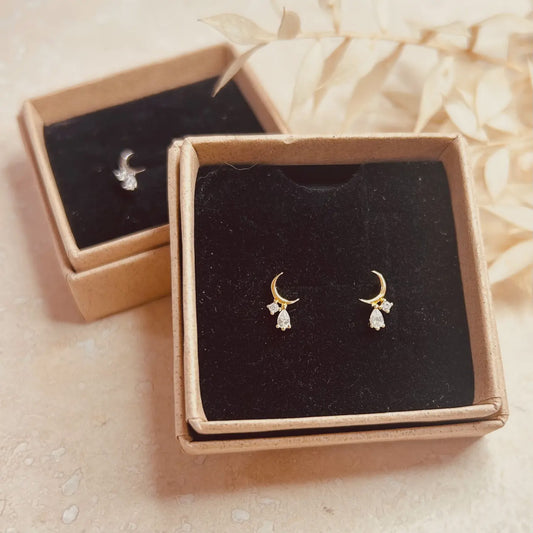 LN Earrings Crescent Moon Droplet Stud