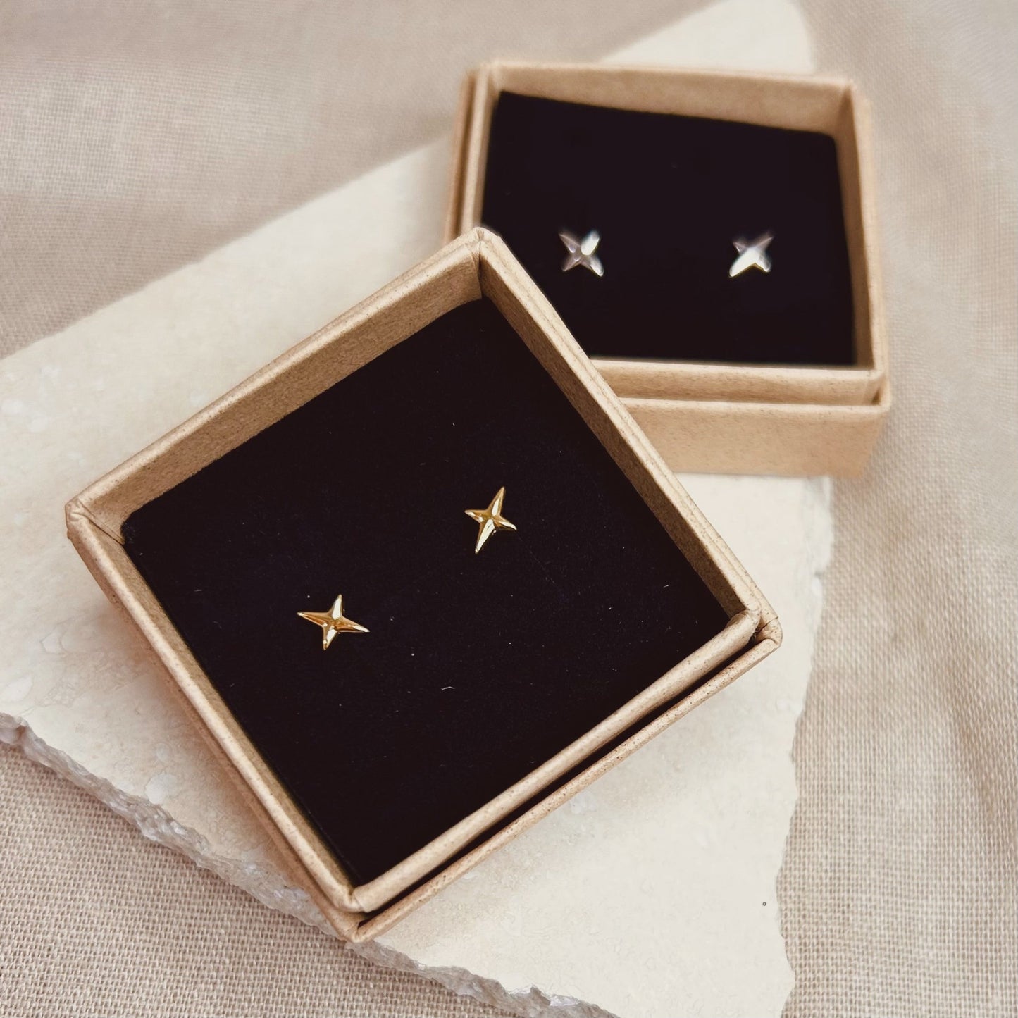 LN Earrings Starlight Stud