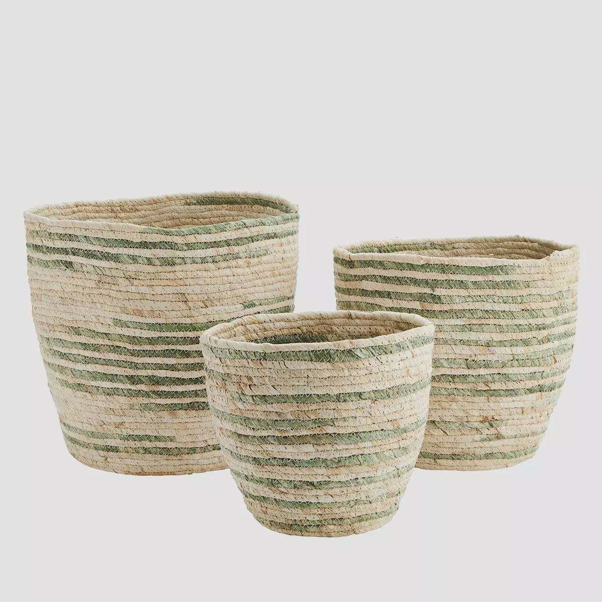 MS Basket maize leaf