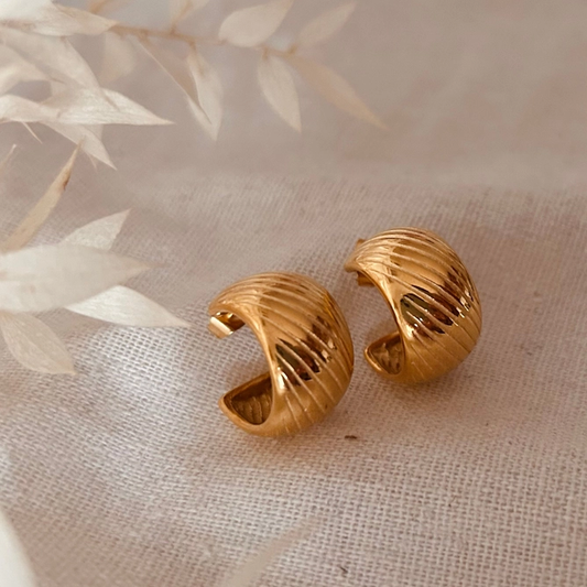 LN Earrings Ridged hoops