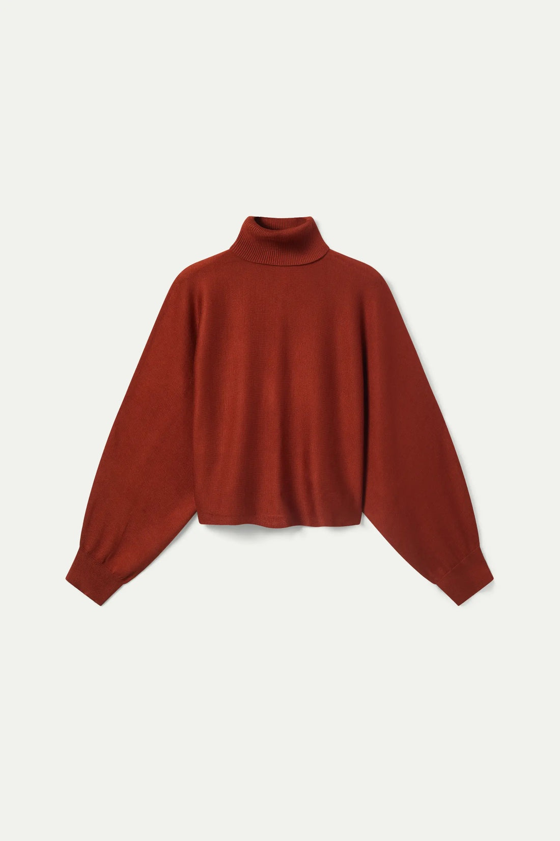 CF Jumper roll neck